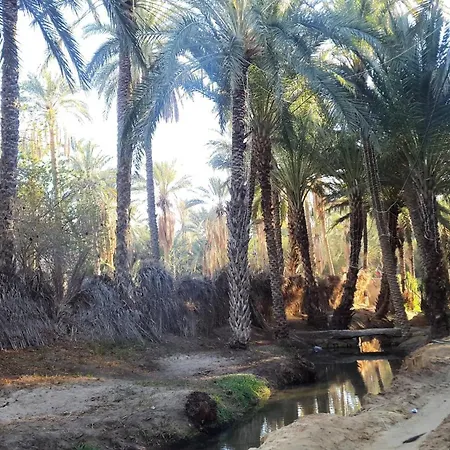 Dar Saida Beya-3